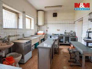 Prodej restaurace, Zbytiny - Blažejovice, 160 m2