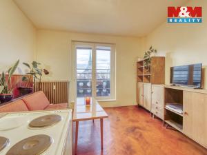 Pronájem bytu 1+kk, Plzeň - Východní Předměstí, Šafaříkovy sady, 23 m2