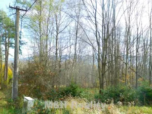 Prodej rodinného domu, Frýdlant nad Ostravicí, Podlesí, 36 m2