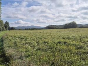 Prodej pozemku pro bydlení, Jestřebí, 1898 m2