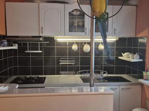 Pronájem bytu 3+1, Česká Lípa, Újezd, 75 m2