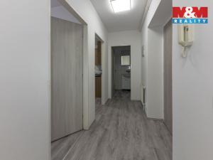 Prodej bytu 1+1, Soutice, 40 m2