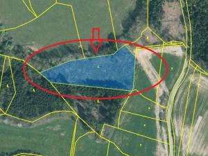 Prodej podílu lesa, Čížkov, 1076 m2