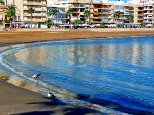 Prodej rodinného domu, Fuente-Álamo, Španělsko, 70 m2