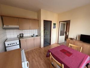 Prodej bytu 1+1, Klatovy, Za Beránkem, 42 m2