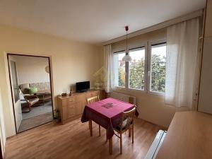 Prodej bytu 1+1, Klatovy, Za Beránkem, 42 m2