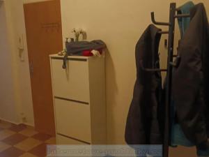 Pronájem pokoje, Praha - Libeň, Drahobejlova, 17 m2