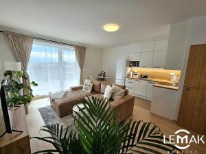 Pronájem bytu 1+kk, Olomouc, Loudova, 49 m2