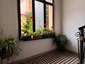 Prodej bytu 3+1, Karlovy Vary, Svahová, 98 m2