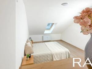 Prodej bytu 2+kk, Brno, Koliště, 54 m2