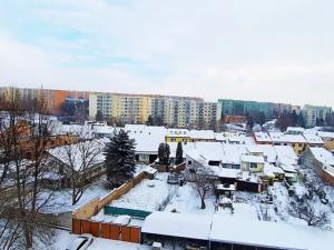 Pronájem bytu 1+kk, Brno, Sevastopolská, 38 m2