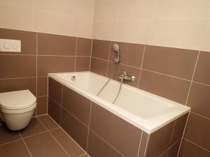 Pronájem bytu 1+kk, Brno, Kigginsova, 47 m2