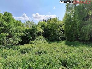 Prodej rodinného domu, Žítková, 80 m2