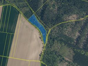 Prodej lesa, Bechlín, 31569 m2