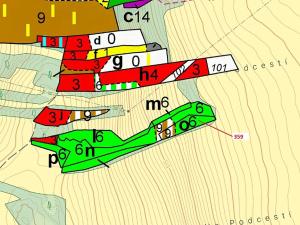 Dražba lesa, Újezd u Plánice, 1743 m2