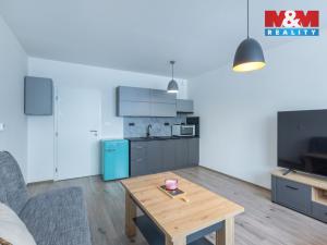 Prodej bytu 2+kk, Nové Strašecí, Viktora Olivy, 52 m2