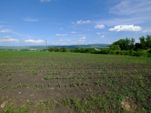 Prodej zahrady, Uherský Brod, 2032 m2