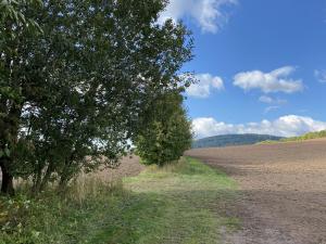 Prodej lesa, Lánov - Horní Lánov, 15278 m2