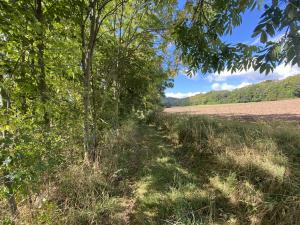 Prodej lesa, Lánov - Horní Lánov, 15278 m2