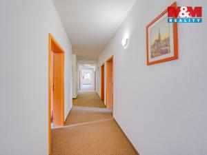 Prodej chalupy, Žihle - Nový Dvůr, 689 m2