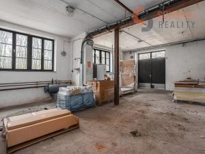 Pronájem obchodního prostoru, Břeclav, Celnice-středisko služeb, 509 m2