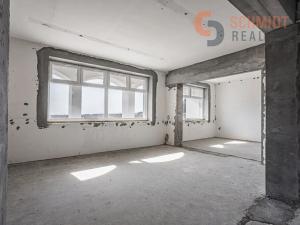 Pronájem obchodního prostoru, Břeclav, Celnice-středisko služeb, 509 m2