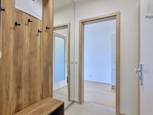 Pronájem bytu 1+kk, Brno, Trnkova, 23 m2