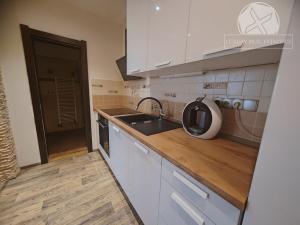 Pronájem bytu 1+kk, Praha - Podolí, Podolská, 36 m2