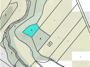 Prodej lesa, Rouchovany, 1620 m2