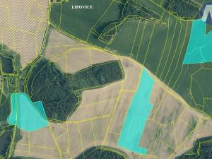 Prodej pozemku, Lipovice, 72564 m2