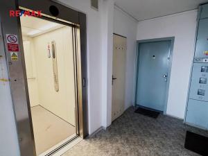 Pronájem bytu 1+kk, Praha - Prosek, Jetřichovická, 30 m2