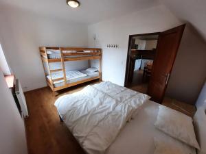 Pronájem bytu 4+kk, Vítkovice, 97 m2