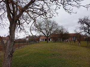 Dražba rodinného domu, Heroltice, 248 m2