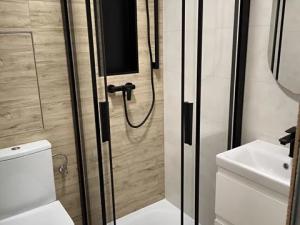 Pronájem bytu 1+1, Uherský Brod, Na Dlouhých, 28 m2