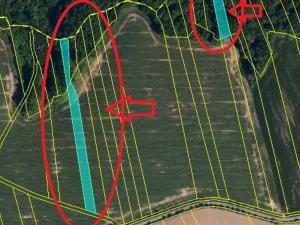 Prodej lesa, Lhota, 6286 m2