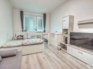 Pronájem bytu 2+1, Olomouc, Kaštanová, 64 m2