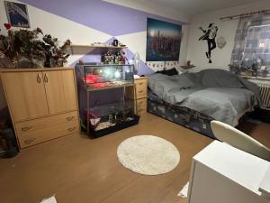 Pronájem bytu 2+1, Děčín - Děčín IV-Podmokly, Teplická, 66 m2