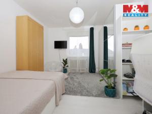 Prodej bytu 3+kk, Žďár nad Sázavou - Žďár nad Sázavou 3, Brodská, 54 m2