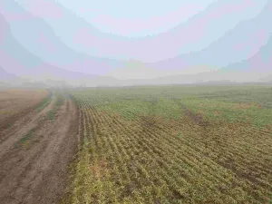 Prodej pole, Ctidružice, 58835 m2