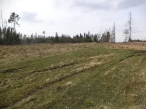 Prodej pozemku, Opatov, 22551 m2