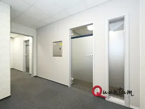 Pronájem kanceláře, Praha - Vinohrady, Šafaříkova, 131 m2