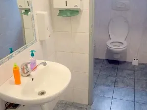 Prodej komerční nemovitosti, Volyně, 450 m2