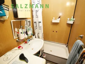 Pronájem bytu 1+1, Plzeň, Žlutická, 39 m2