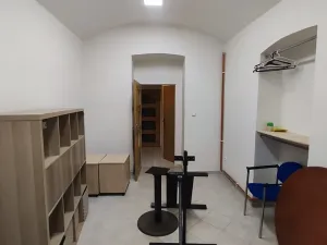 Prodej obchodního prostoru, Praha, Wenzigova, 52 m2