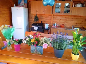 Prodej pozemku, Lukavec u Hořic, 1490 m2