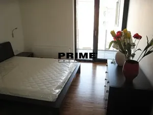 Pronájem bytu 2+kk, Praha - Žižkov, Prokopova, 62 m2