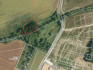 Prodej lesa, Praha, 3199 m2