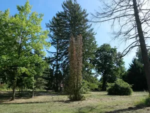 Prodej pozemku pro bydlení, Mukařov, Školní, 800 m2