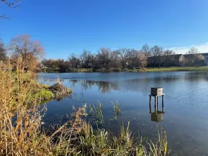 Pronájem rodinného domu, Zvole, J. Štulíka, 260 m2