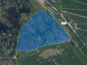 Dražba lesa, Březovice, 4432 m2